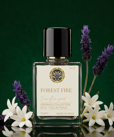 Forest Fire
