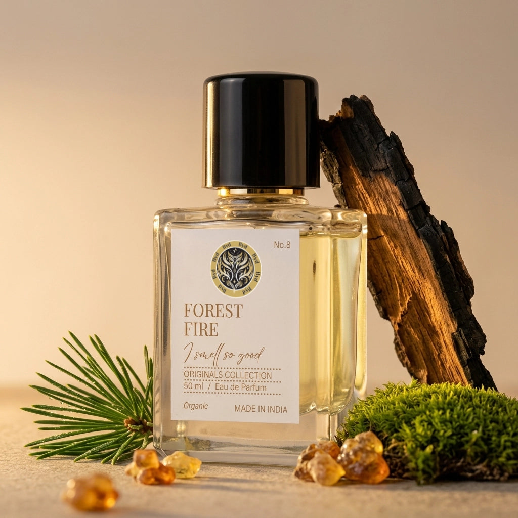 Forest Fire