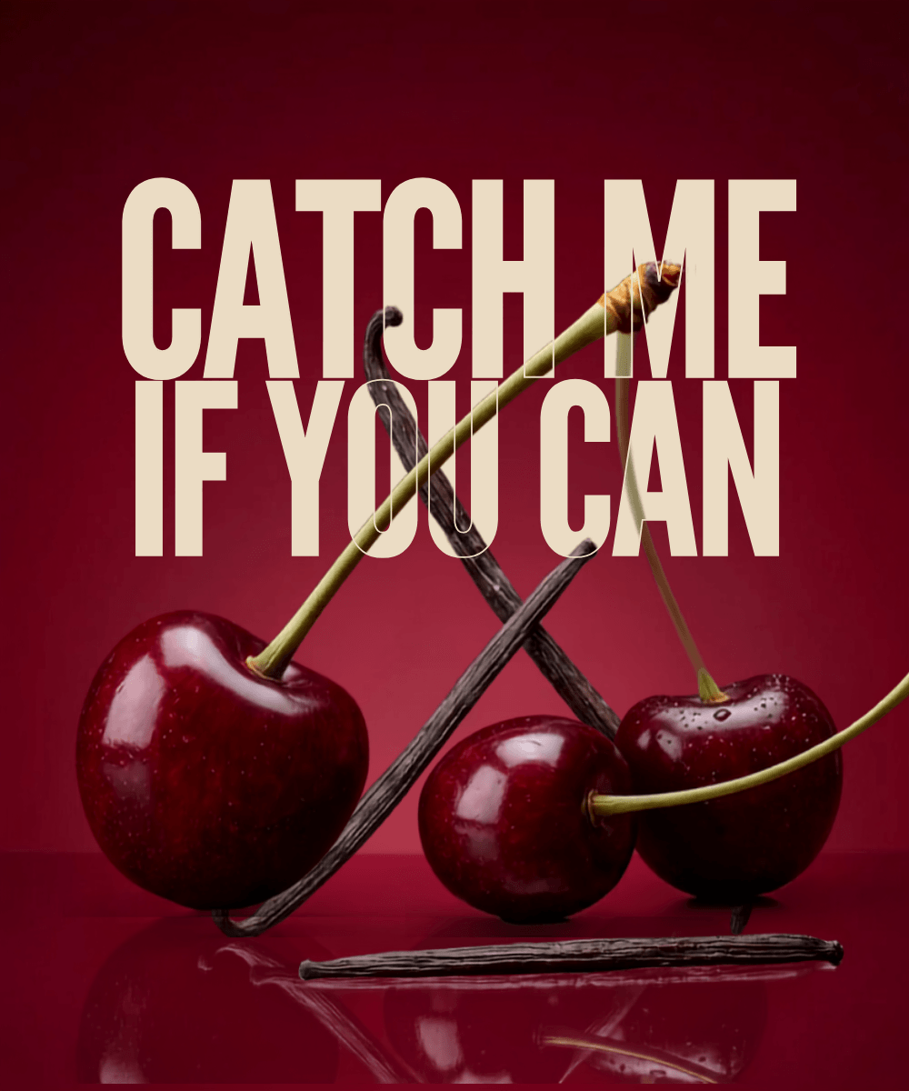 Catch Me If You Can