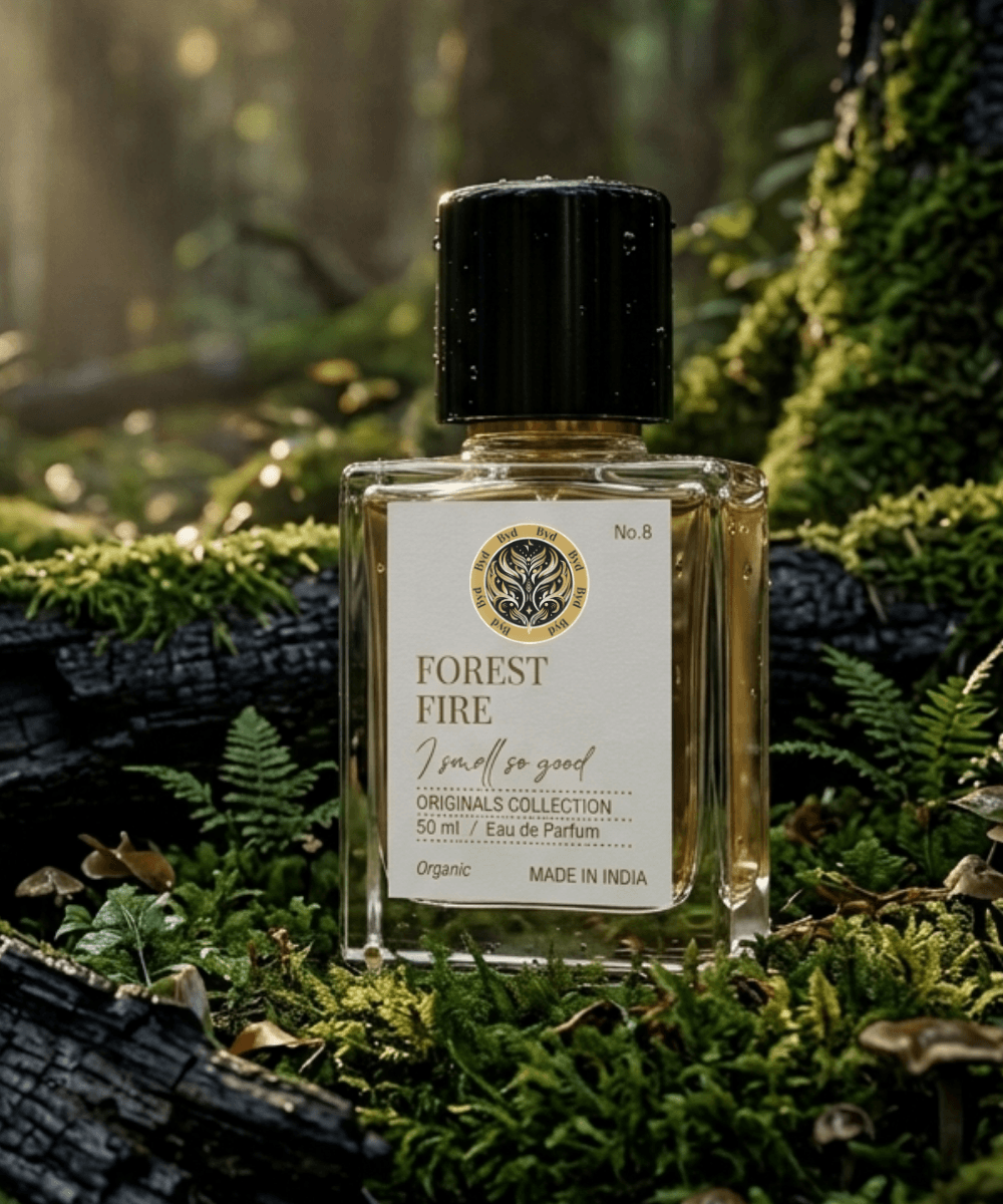Forest Fire